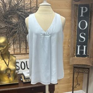 Ice blue Gianni Bini Top